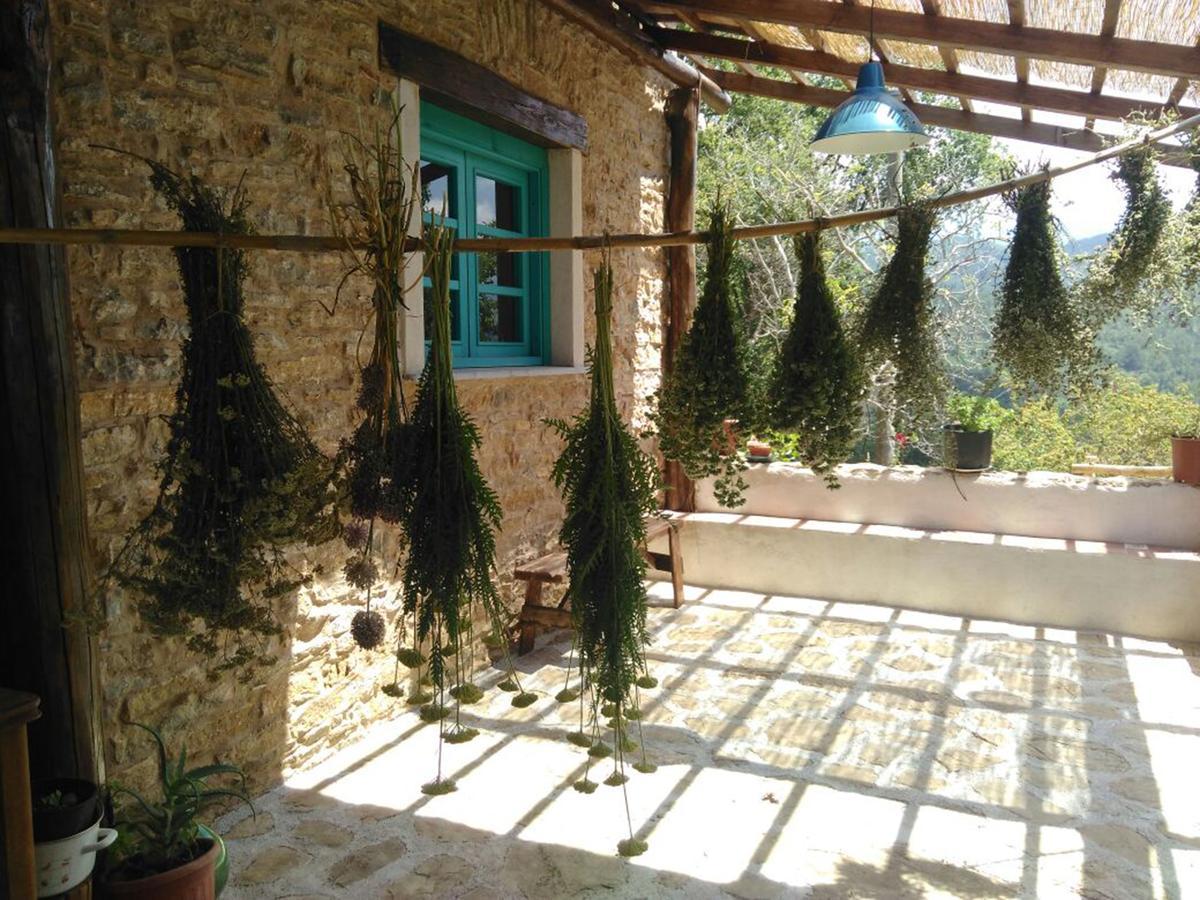 Bed and Breakfast Masseria Cata Catascia Tortorella Екстер'єр фото